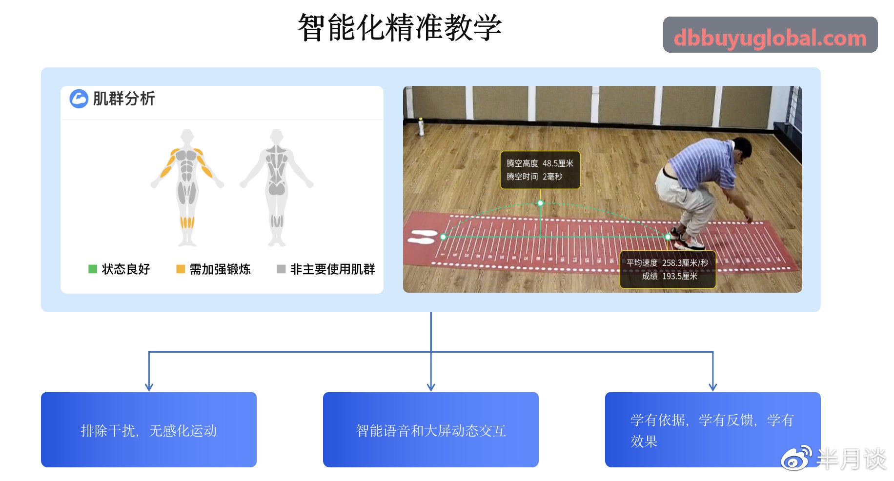 DB电竞架构示意图